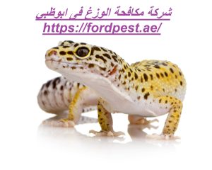 [صورة: %D8%B4%D8%B1%D9%83%D8%A9-%D9%85%D9%83%D8...00x240.jpg]