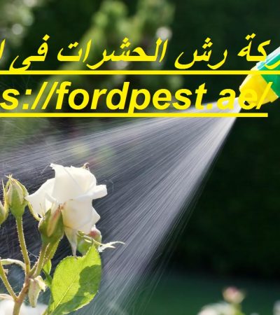 شركة رش الحشرات فى ابوظبي