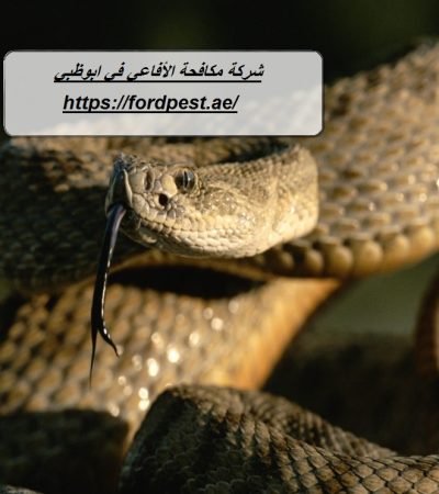 شركة مكافحة الأفاعي في ابوظبي