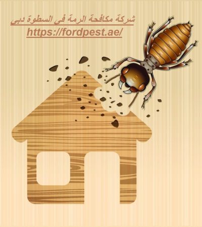 شركة مكافحة الرمة في السطوة دبي
