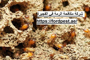 شركة مكافحة الرمة في الفجيرة