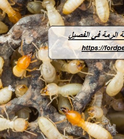 شركة مكافحة الرمة في الفصيل