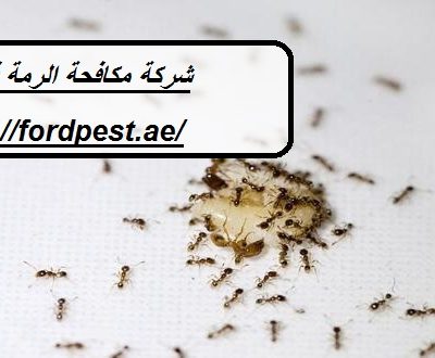 شركة مكافحة الرمة في الفقع
