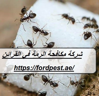 شركة مكافحة الرمة في القرائن