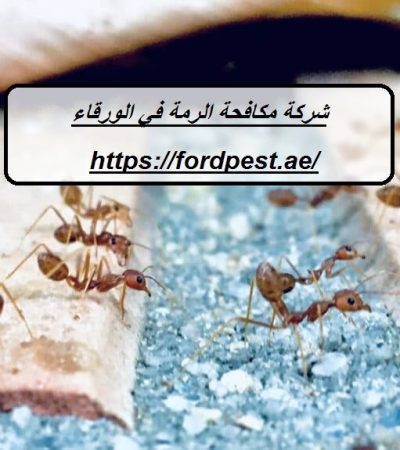 شركة مكافحة الرمة في الورقاء