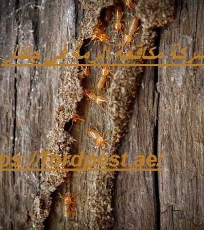 شركة مكافحة الرمة في جلفار