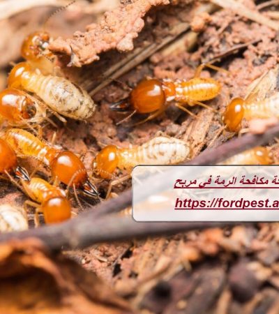 شركة مكافحة الرمة في مربح