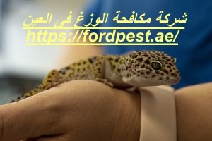 شركة مكافحة الوزغ فى العين
