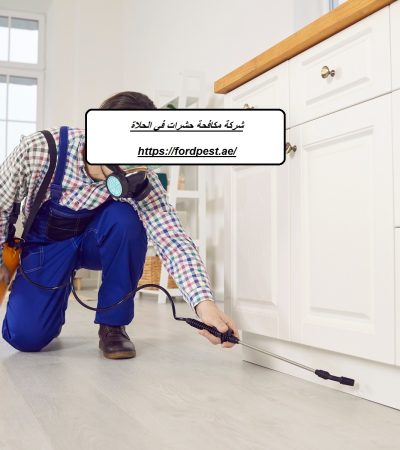 شركة مكافحة حشرات في الحلاة