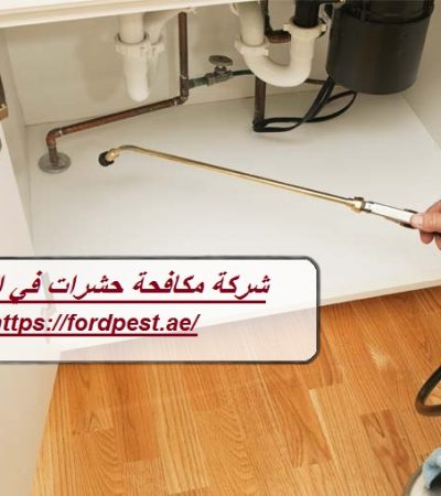 شركة مكافحة حشرات في الشارقة