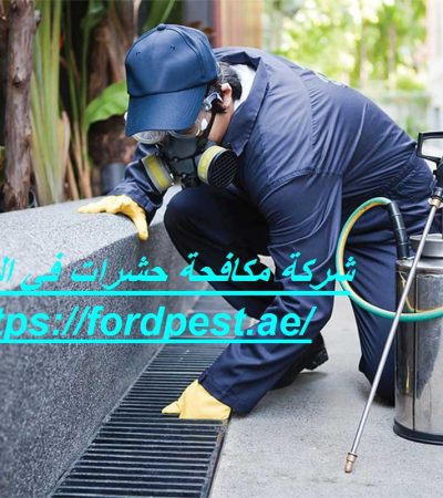شركة مكافحة حشرات في النخيل