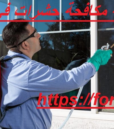 شركة مكافحة حشرات في زعبيل