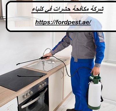 شركة مكافحة حشرات في كلباء