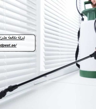 شركة مكافحة حشرات في جزيرة الريم