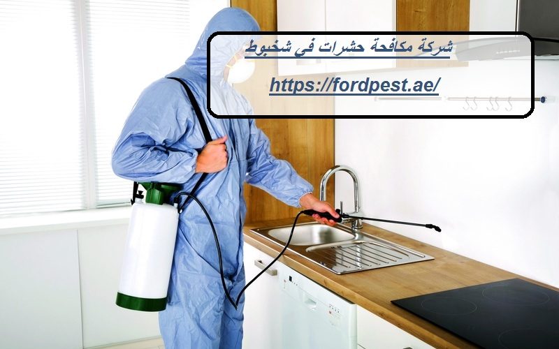 شركة مكافحة حشرات في شخبوط